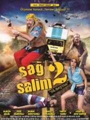 Sağ Salim 2: Sil Baştan 2014